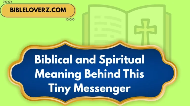 Biblical and Spiritual Meaning Behind This Tiny Messenger