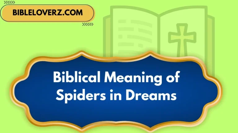 Biblical Meaning of Spiders in Dreams