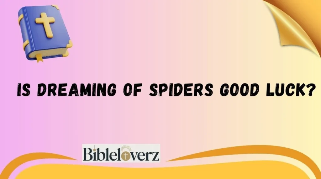 Is Dreaming of Spiders Good Luck?