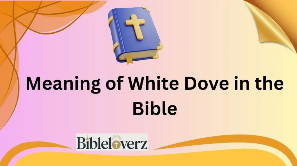 Meaning of White Dove in the Bible