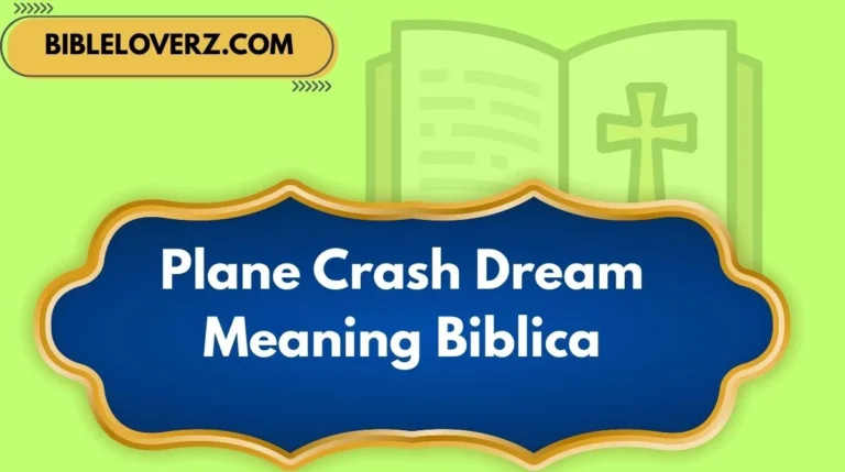 Plane Crash Dream Meaning Biblica