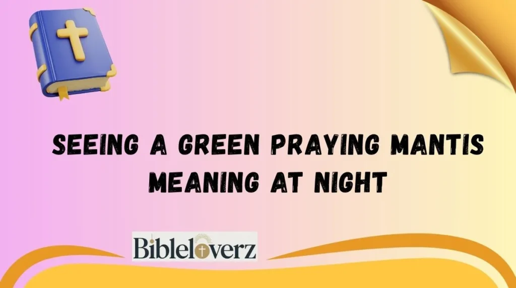 Seeing a Green Praying Mantis Meaning at Night