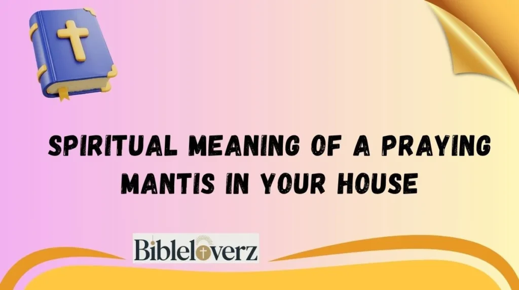 Spiritual Meaning of a Praying Mantis in Your House