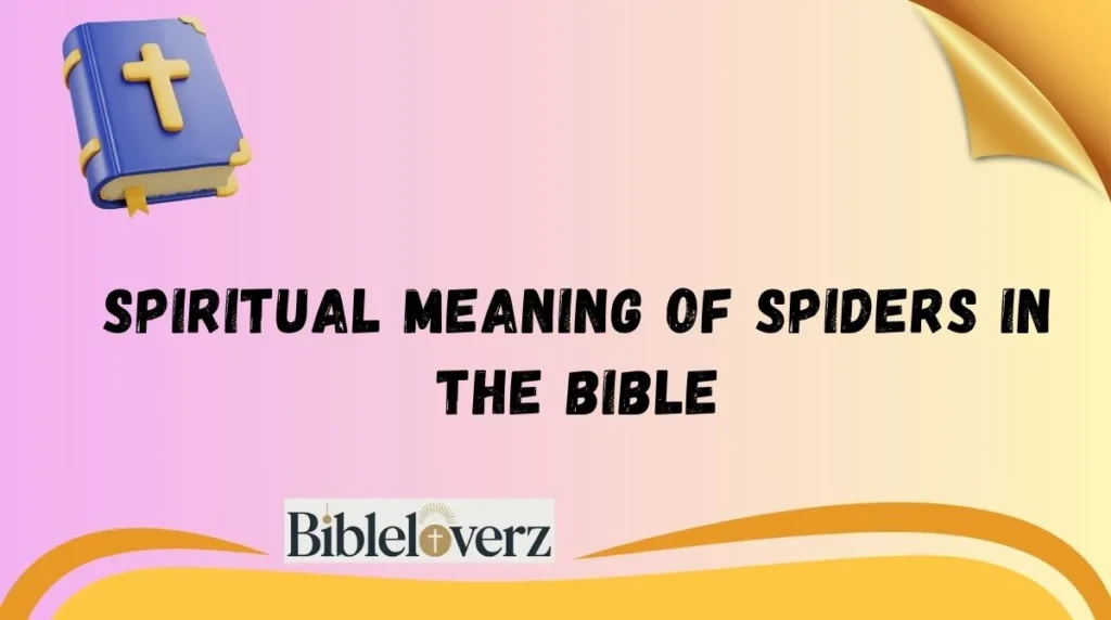 Spiritual Meaning of Spiders in the Bible