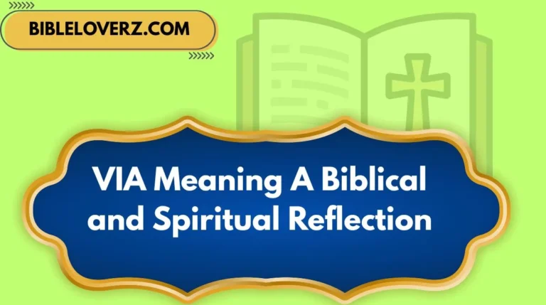 VIA Meaning A Biblical and Spiritual Reflection