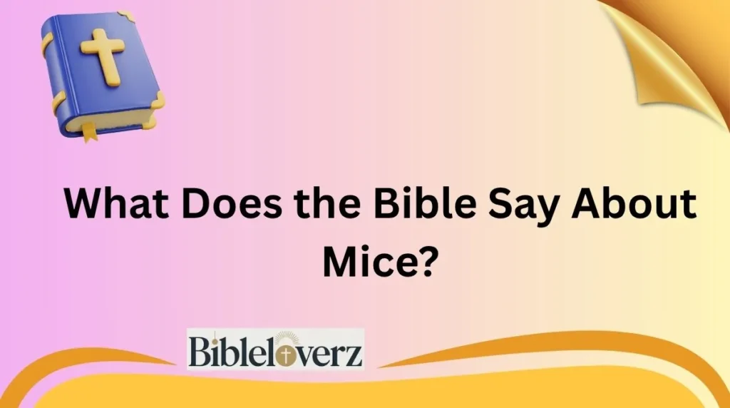 What Does the Bible Say About Mice?