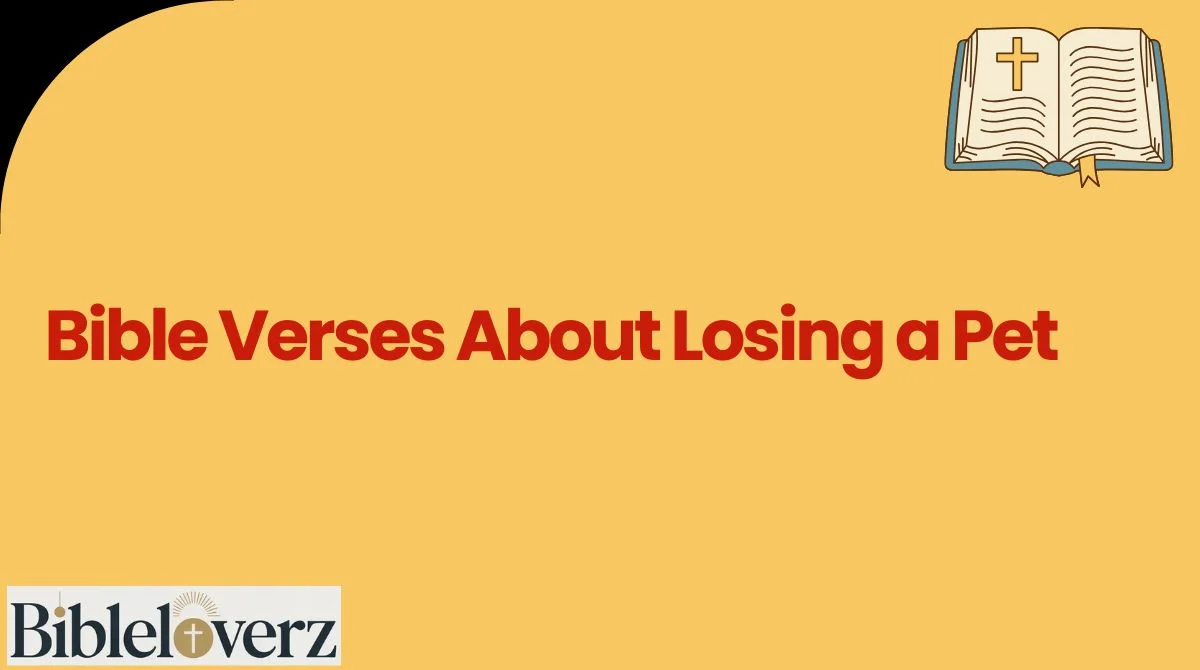 Bible Verses About Losing a Pet