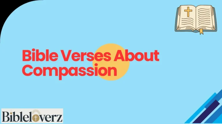 Bible Verses About Compassion
